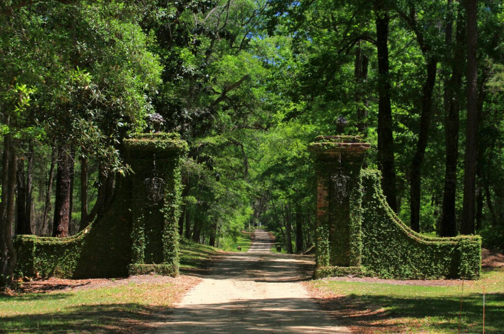 The Plantations of South Carolina