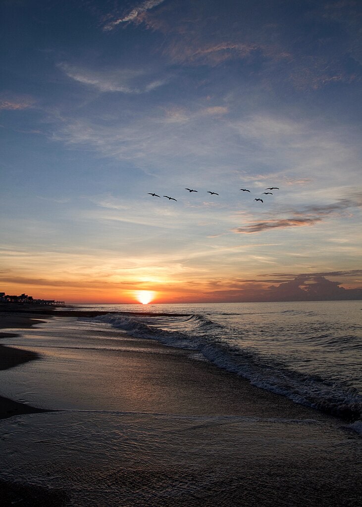 Edisto Beach