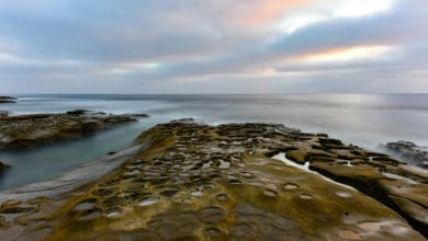 Things to do in La Jolla
