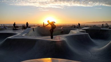 Things to Do in Venice (CA)