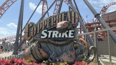 Carowinds -Things To Do In North Carolina