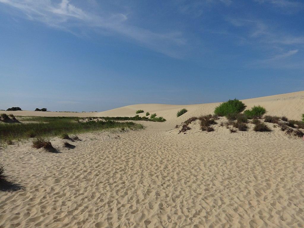 Jockey's Ridge State Park