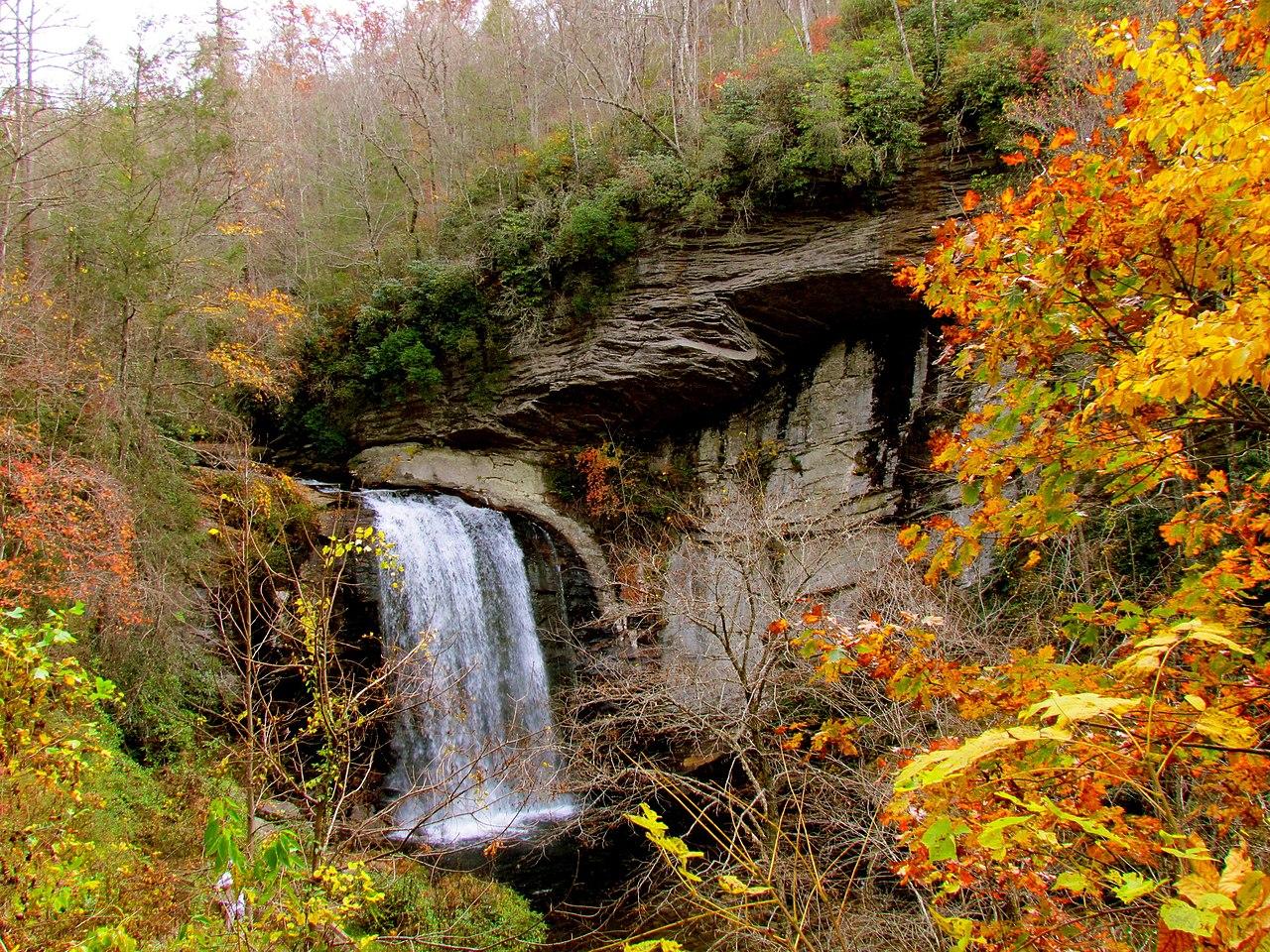 Pisgah National Forest