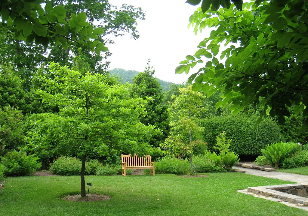 The North Carolina Arboretum