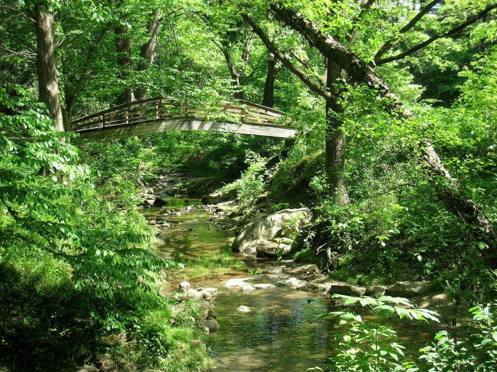 Botanical Gardens at Asheville