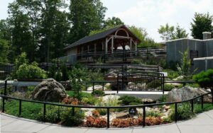 The North Carolina Arboretum - Things to Do in Asheville