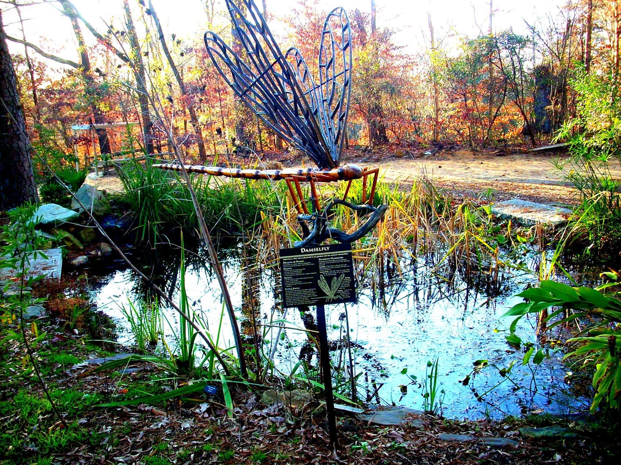 Cape Fear Botanical Garden