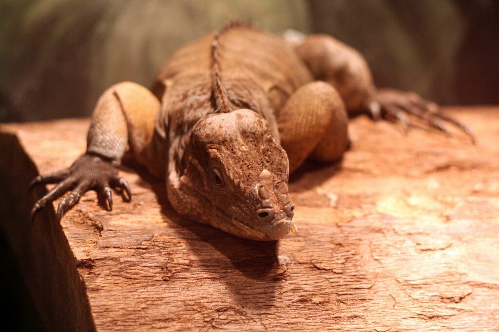 Greensboro Science Center