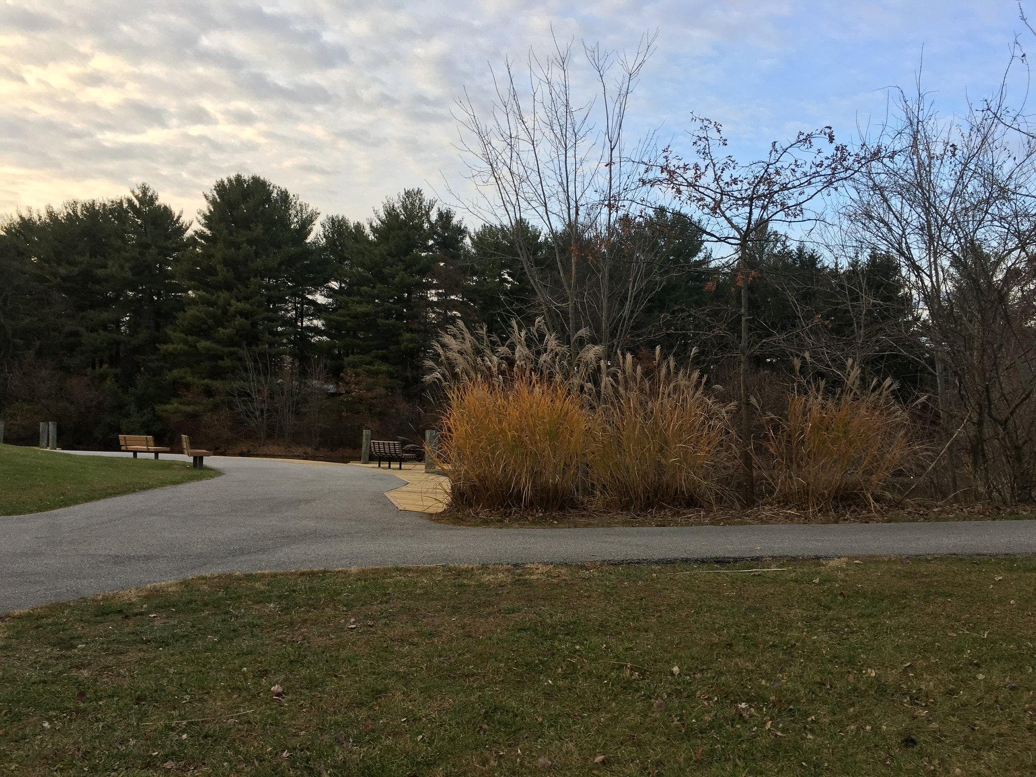 Guilford Brown Bark Neighborhood Park