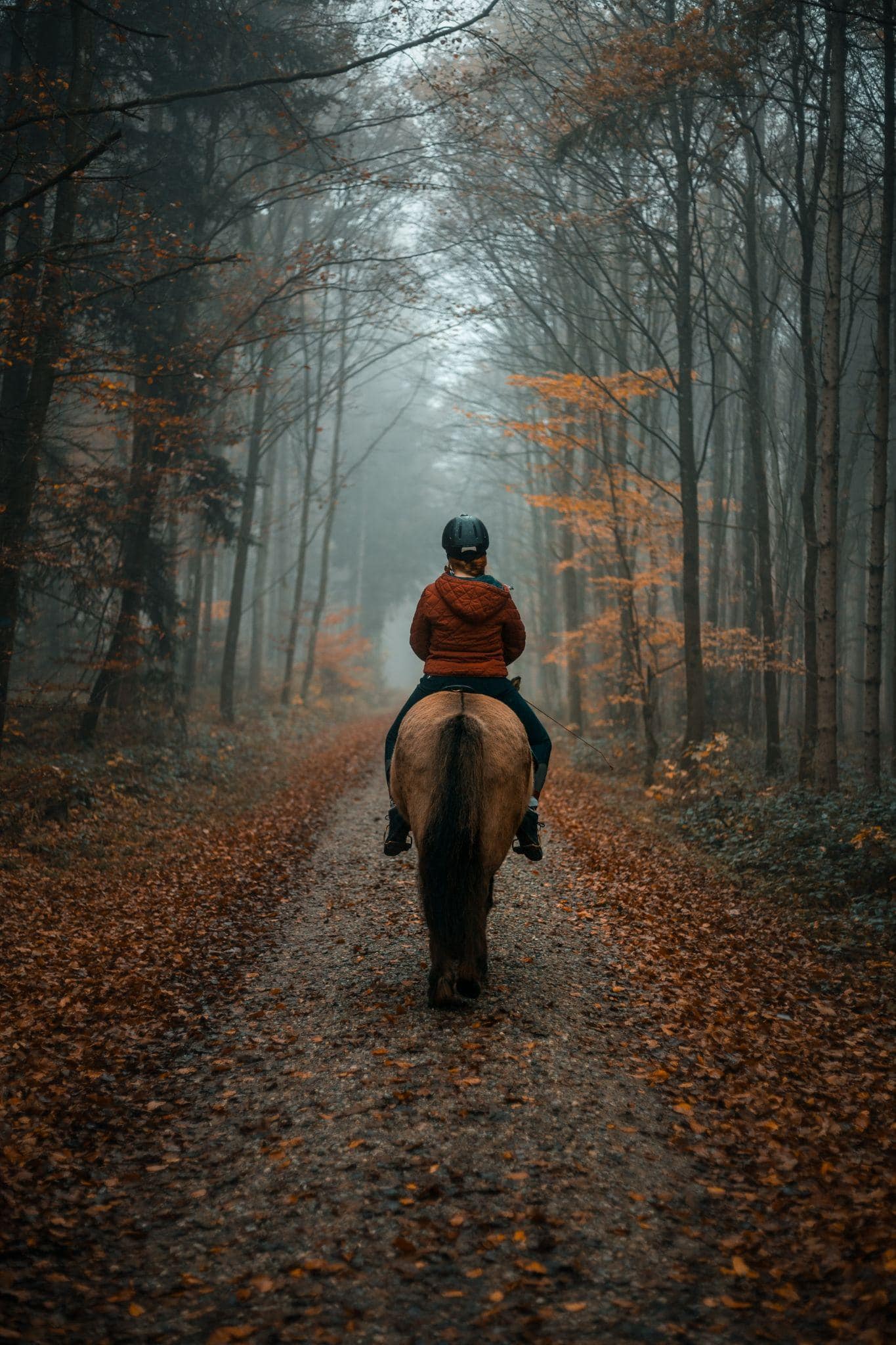 Smokemont Riding Stables