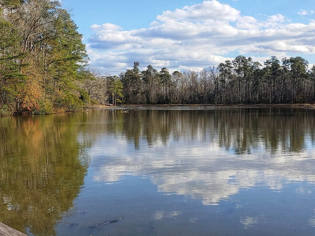 Barnwell State Park SC