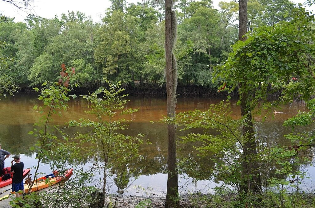 Colleton State Park SC