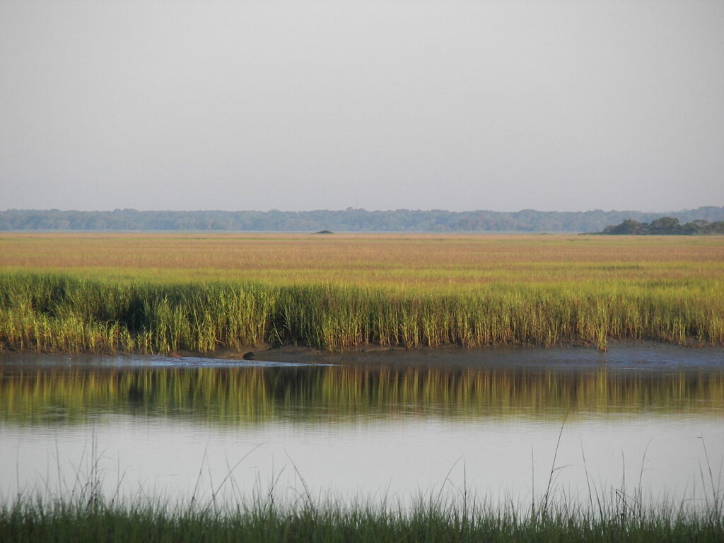 Hunting Island State Park