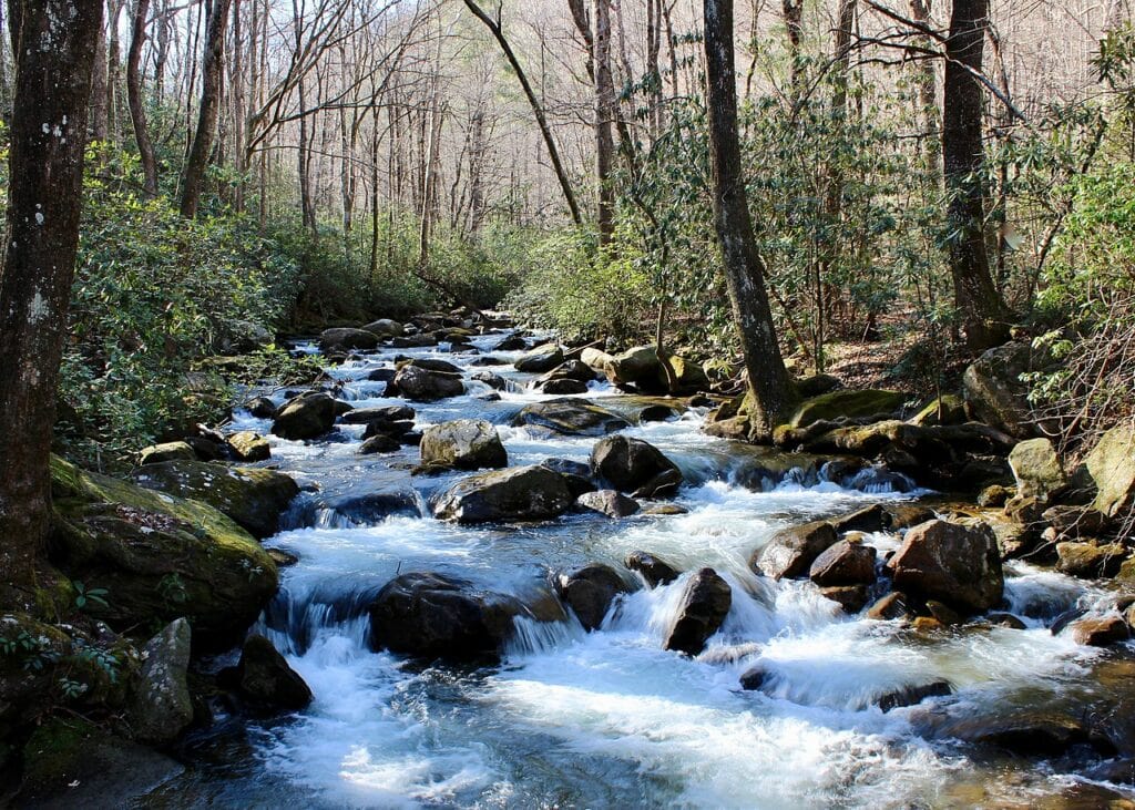 Jones Gap State Park SC