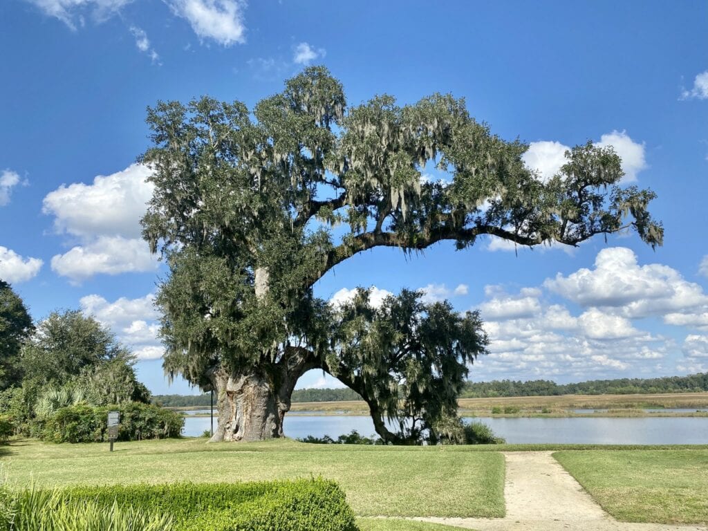 travel south carolina coast