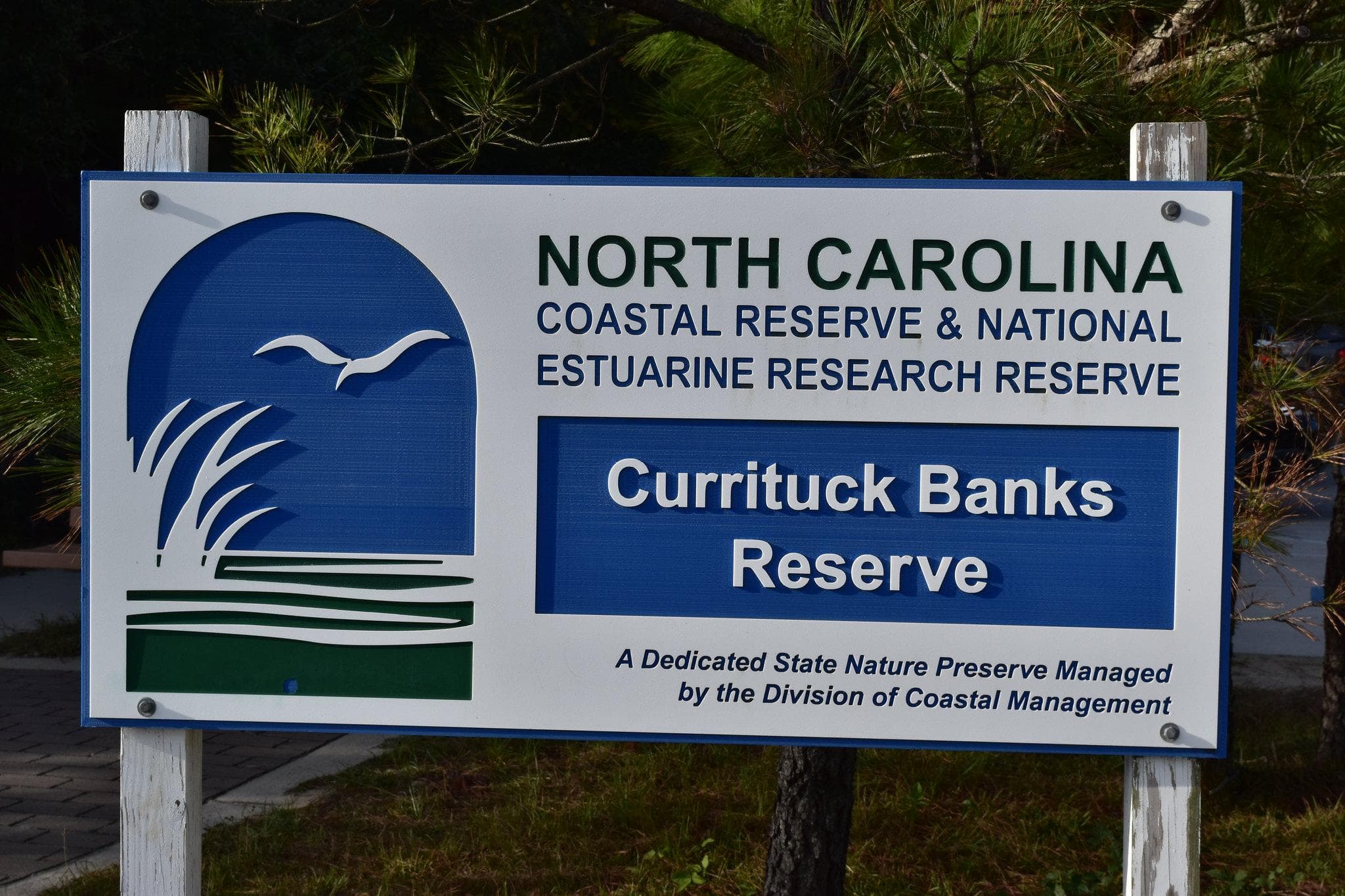 Currituck Banks Reserve