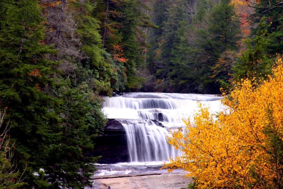 DuPont State Forest Henderson