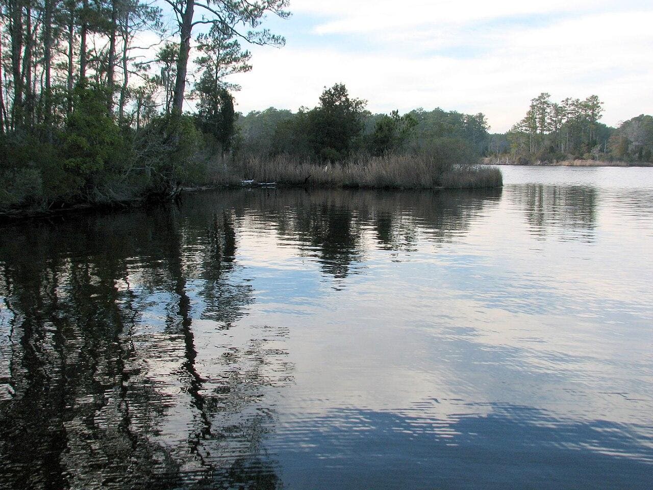 Goose Creek State Park