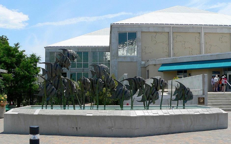 North Carolina Aquarium at Pine Knoll Shores