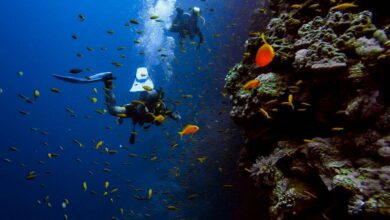 Scuba Diving and Snorkelling Things to Do in Beaufort NC