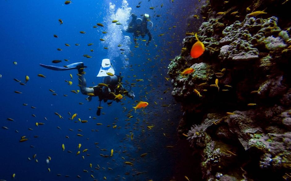 Scuba Diving and Snorkelling