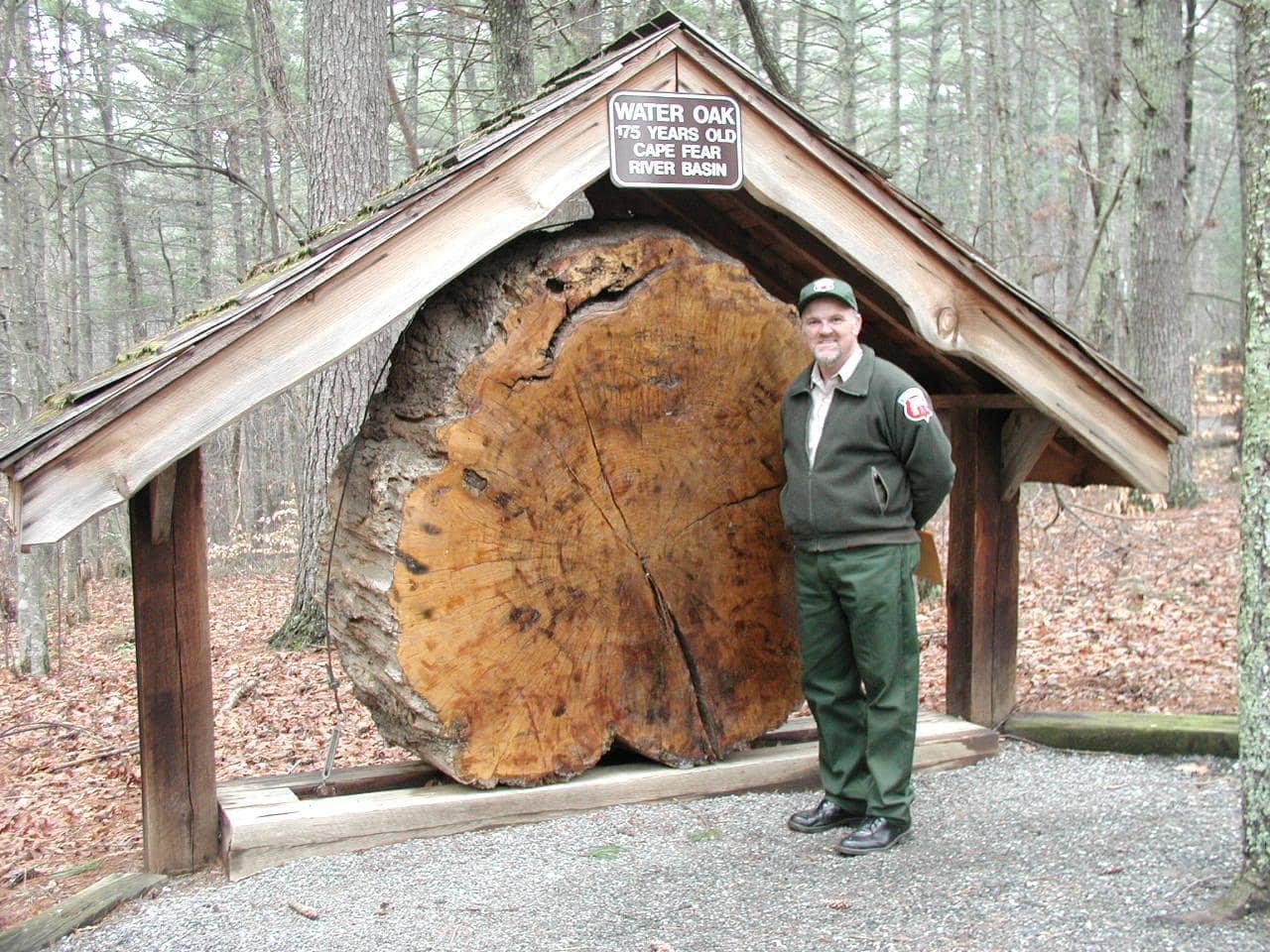 Tuttle Educational State Forest Lenoir