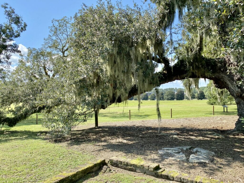 McLeod Plantation Historic Site
