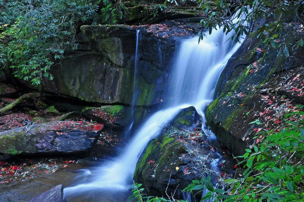 Cedarock Park