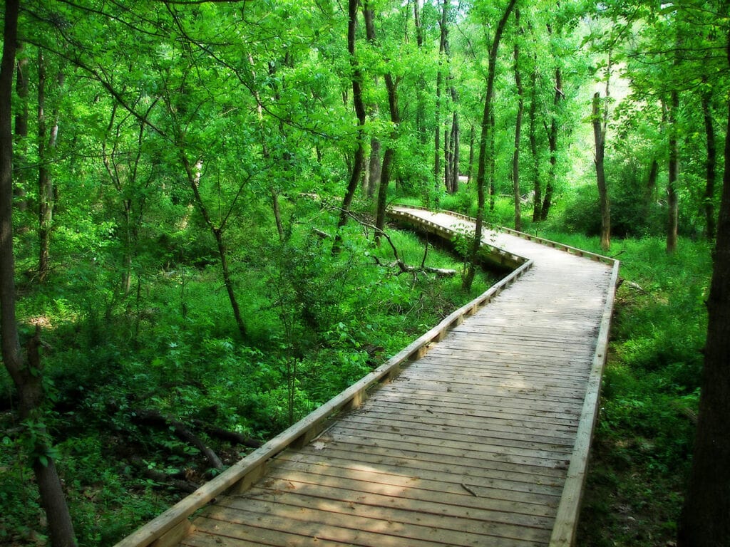 Conestee Nature Preserve