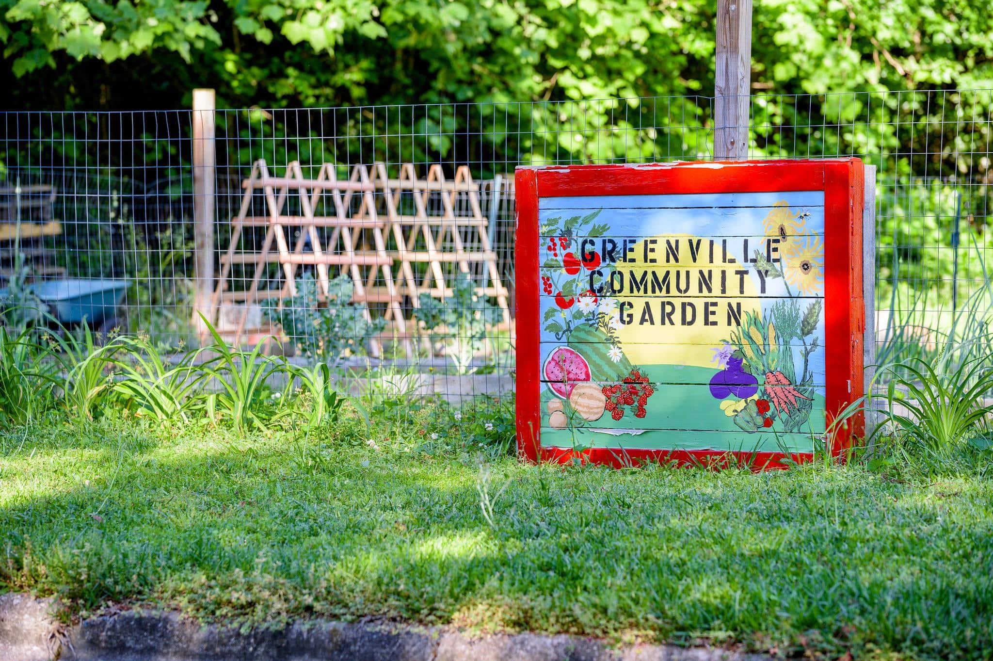 Greenville community garden on Stancill Drive