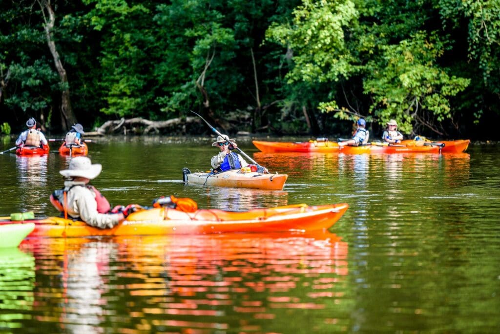 Kayaking the Tar River