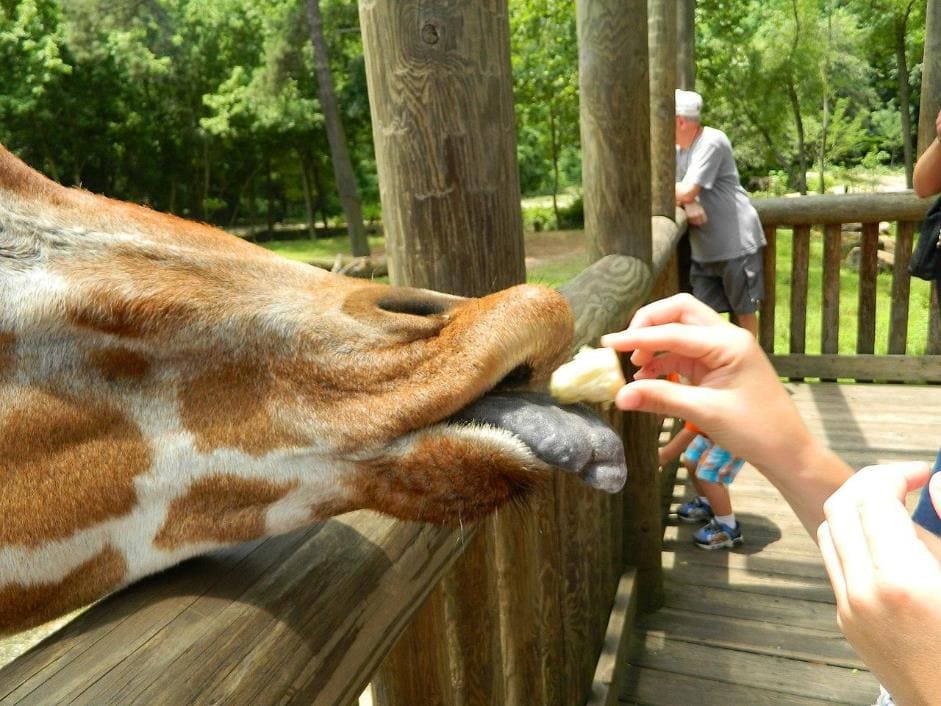 Riverbanks Zoo & Garden