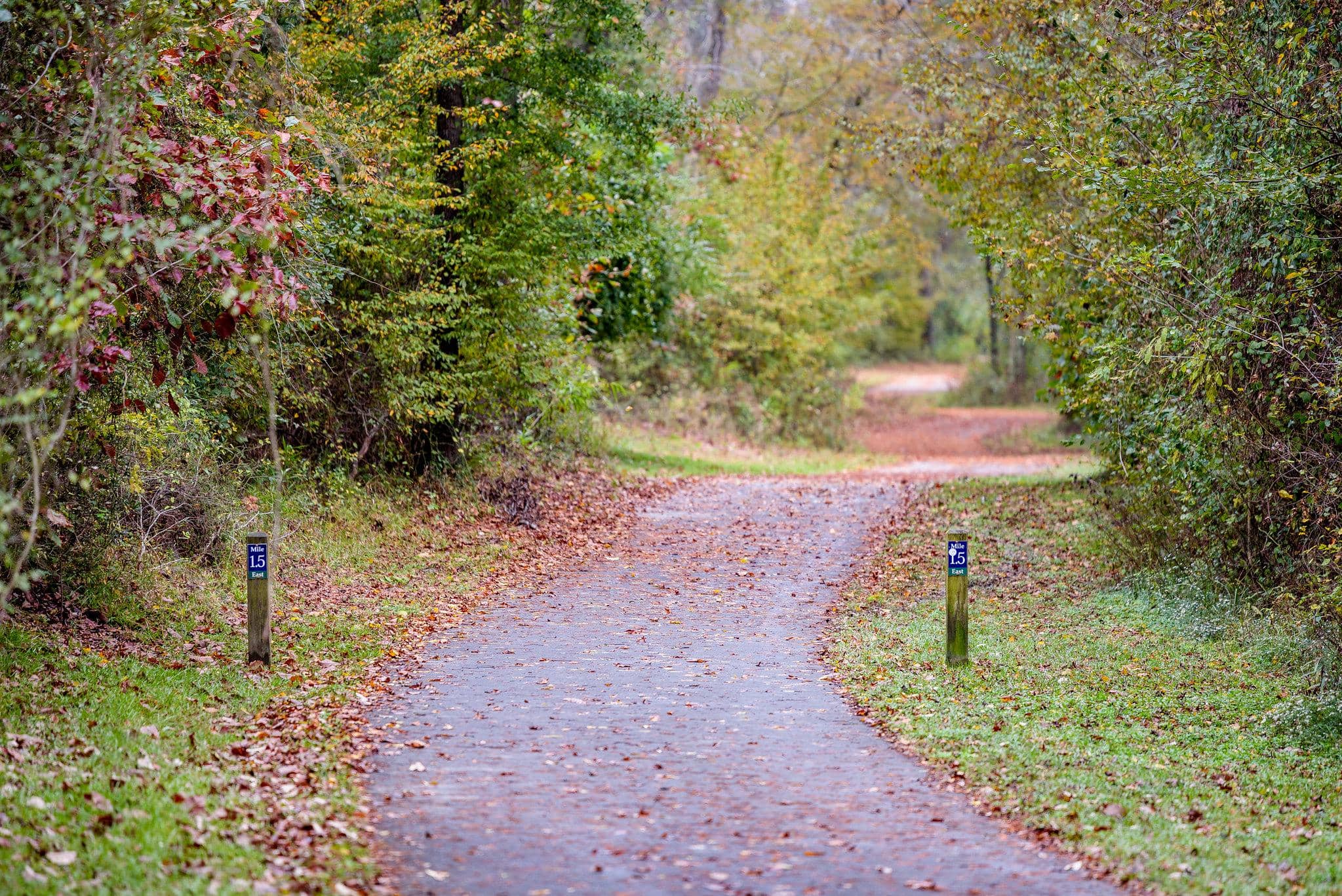 South Tar River Greenway 