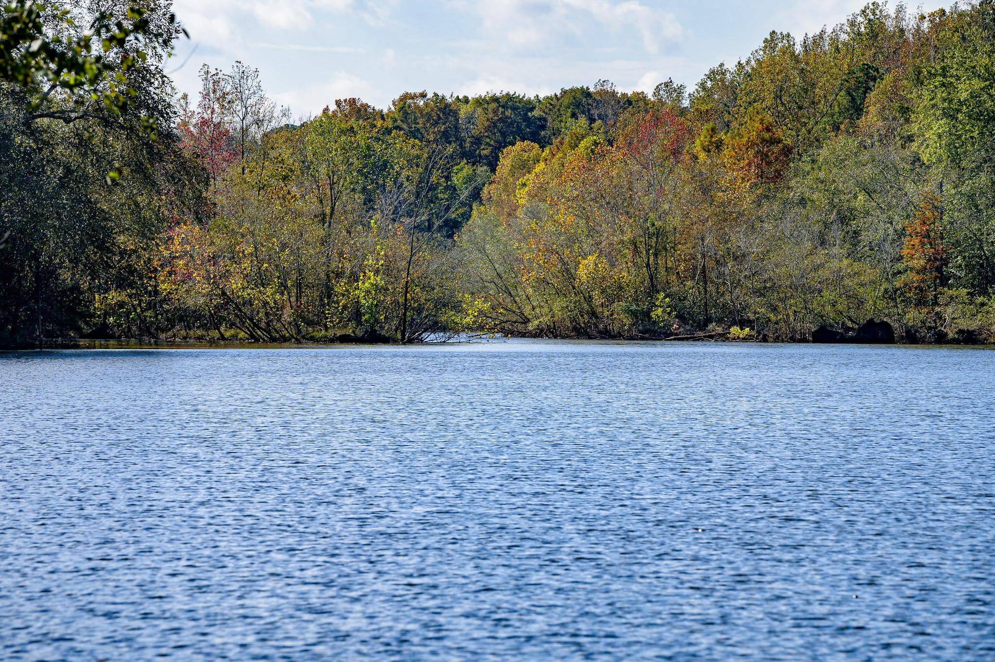 Wildwood Park NC