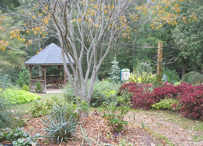 Hatcher Garden and Woodland Preserve, Spartanburg
