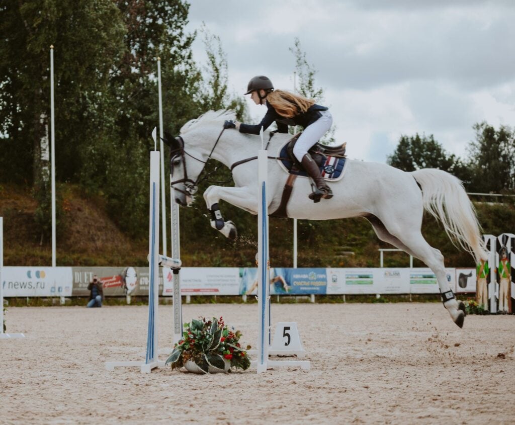 Halifax Fun Horse Show
