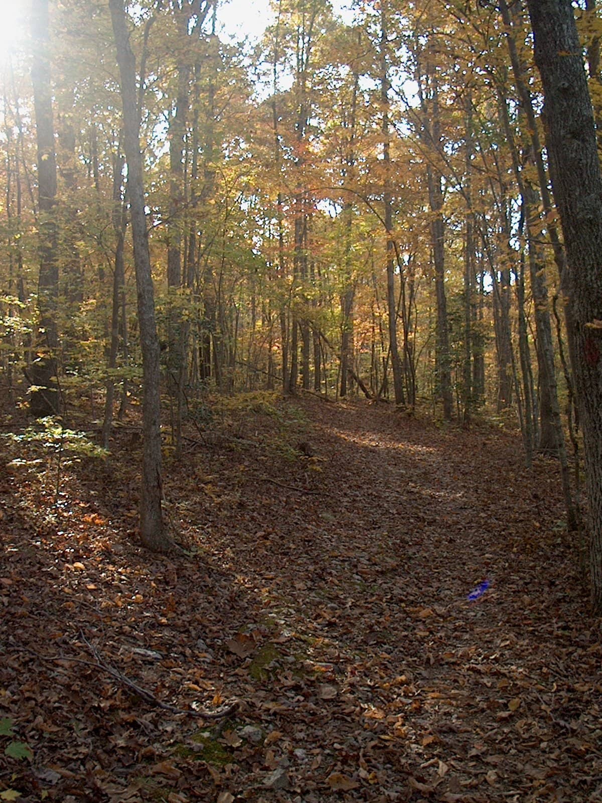 Medoc Mountain State Park