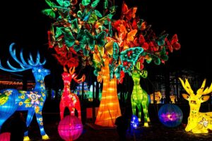 North Carolina Chinese Lantern Festival - Things to Do in Cary NC