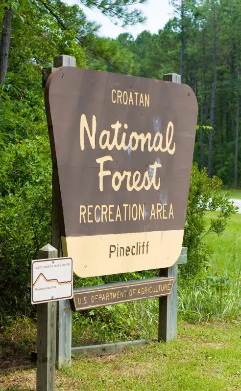  Croatan National Forest