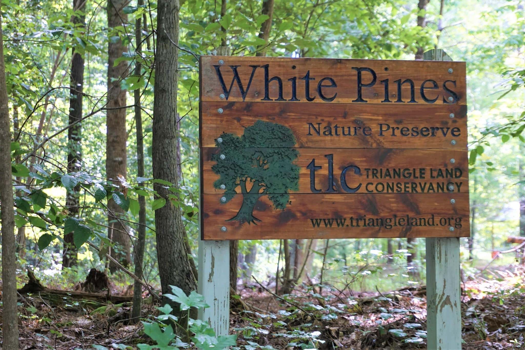 White Pines Nature Preserve