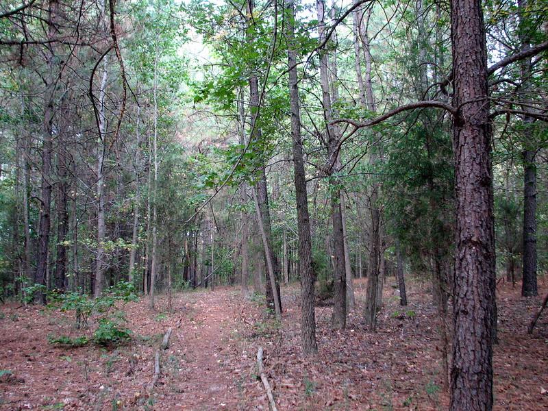 Dry Creek Trail